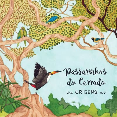 Passarinhos do Cerrado - Origens
